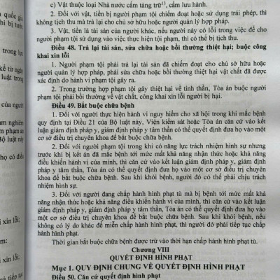 Sách Bộ Luật Hình Sự, Bộ Luật Tố Tụng Hình Sự sửa đổi, bổ sung năm 2025 (V2599T)