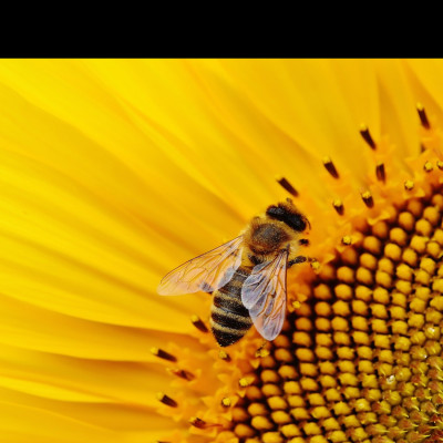 Dầu Gội Dưỡng Dành Cho Da Đầu Và Tóc Sani Habit - 1000ML