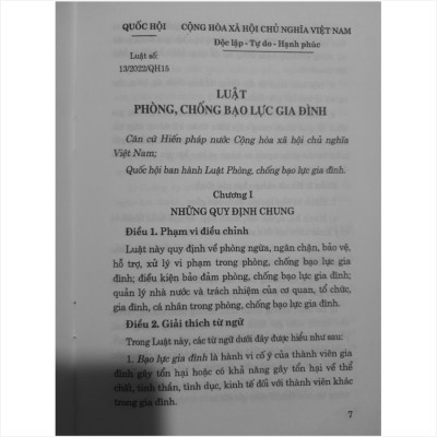 LUẬT PHÒNG CHỐNG BẠO LỰC GIA ĐÌNH 2022