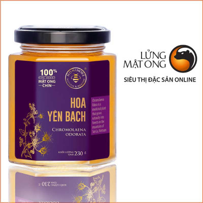 Mật ong rừng Hoa Yên Bạch - 100% mật ong chín Honimore 230g