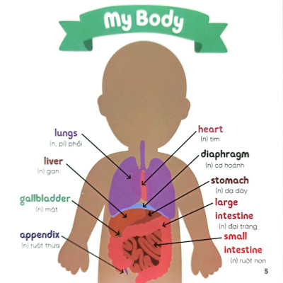 Luyện Đọc Tiếng Anh, Phát Triển Từ Vựng - Nhà Sinh Hóa Tương Lai - My Doctor