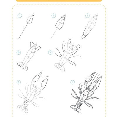 365 Ngày Luyện Vẽ Thế Giới Động Vật - Tập 2