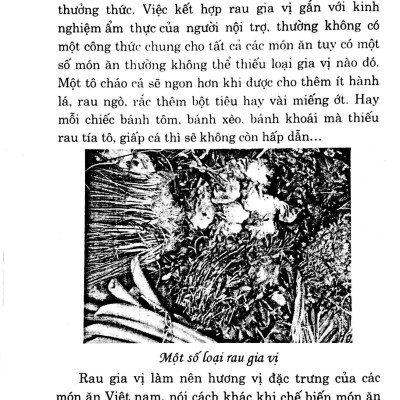 Kỹ Thuật Trồng Và Chăm Sóc Rau Gia Vị
