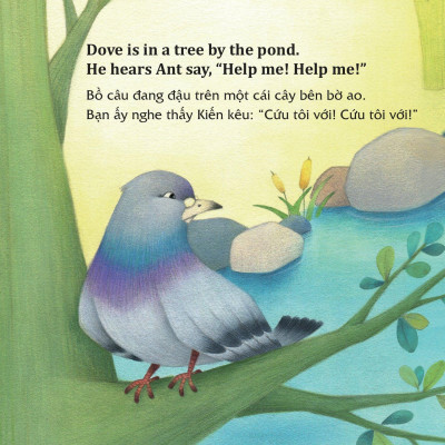 Học Tiếng Anh Cùng Truyện Ngụ Ngôn Aesop - Kiến Và Bồ Câu - The Ant And The Dove