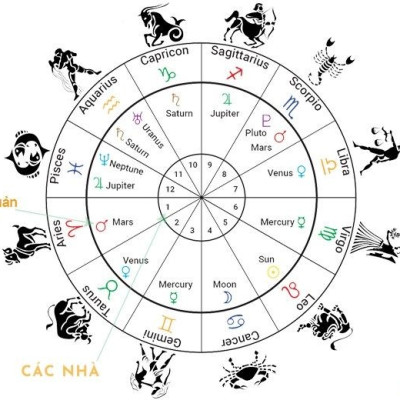 Chiêm Tinh Học For Dummies