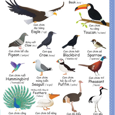 Cuốn Sách Từ Vựng Đầu Tiên Của Tôi - My First Word Book- Thiên Nhiên - Nature