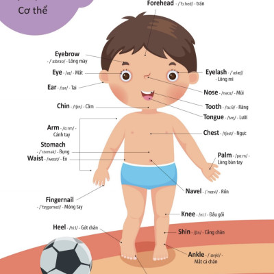 4000 Từ Vựng Và Mẫu Câu Tiếng Anh Thiết Yếu Cho Trẻ Em - Tặng kèm Sổ tay