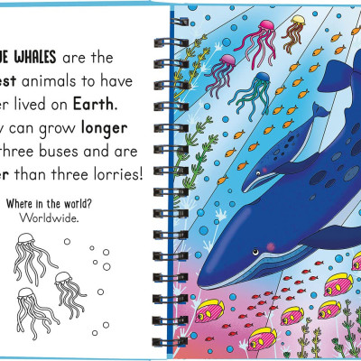 Sách thiếu nhi Tiếng Anh: Splish and Splash - Under the Sea