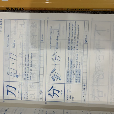 Combo sách Kanji Look and Learn Bản Tiếng Việt (2 cuốn)