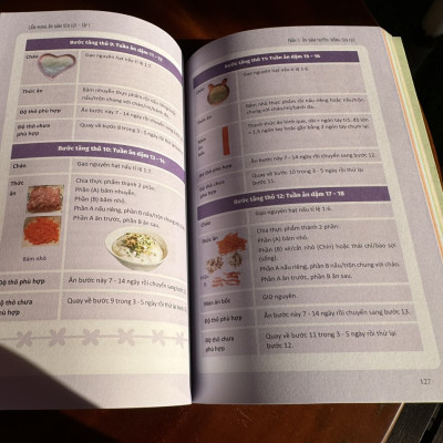 (In màu toàn bộ) CẨM NANG ĂN DẶM TÍCH CỰC – Tập 1 - Hương Đỗ (Mẹ Ong Bông) -  Thái Hà - NXB Lao Động