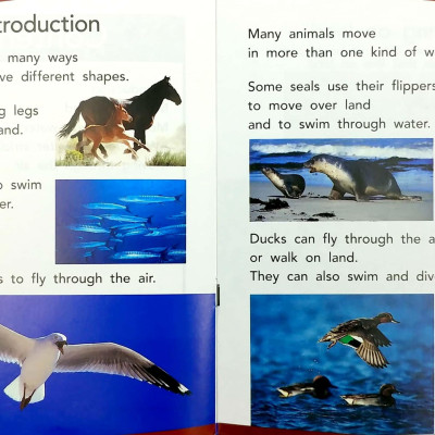 PM READERS SET 2 - Vui Học Tiếng Anh Qua Truyện Tranh