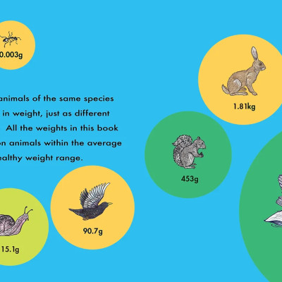 How Much Does A Ladybird Weigh?