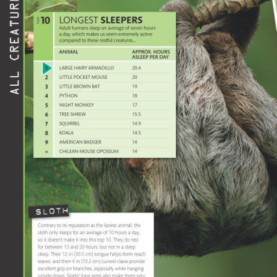 Top 10 of Everything 2018