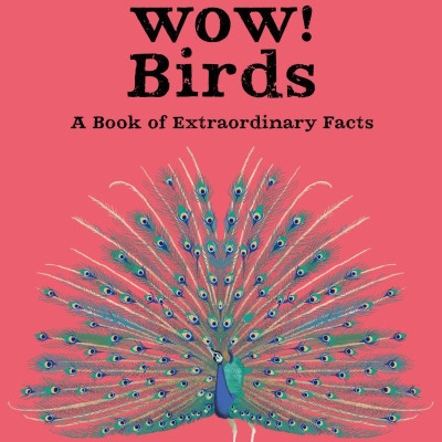 Wow! Birds