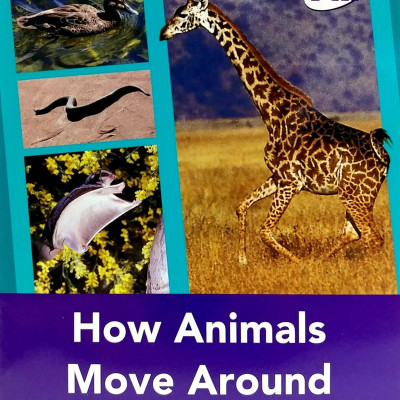 PM READERS SET 2 - Vui Học Tiếng Anh Qua Truyện Tranh