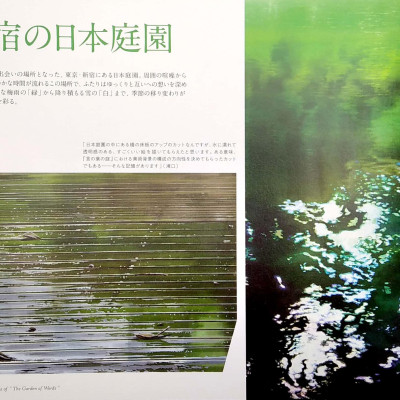 新海誠監督作品 言の葉の庭 美術画集