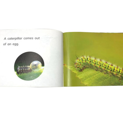 PM READERS SET 1 - Vui Học Tiếng Anh Qua Truyện Tranh