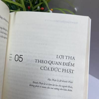 BẠN ĐANG BẬN VIỆC GÌ? - Khenpo Sodargye - Thuận Minh dịch -  Achaubooks – NXB Lao Động 