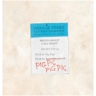 Pig The Star (With CD & StoryPlus)