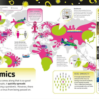 Sách ngoại văn: The Bacteria Book (New Edition)