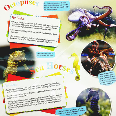 Wonder Of Learning - Discover Sea Animals Foldout Reference Book