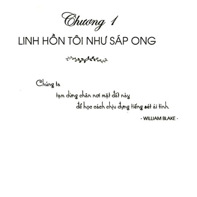 Chiếc Thang Cao Màu Xanh