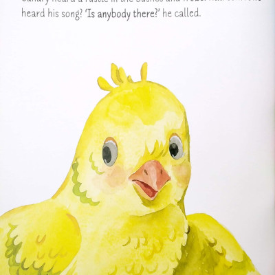 Too Shy To Sing