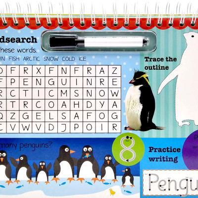 Wipe Clean Easel Book With Pen - Animals