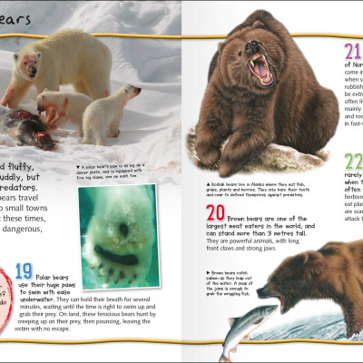 Wild About Fierce Creatures