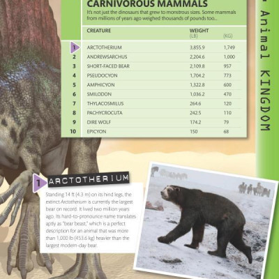 Top 10 of Everything 2018