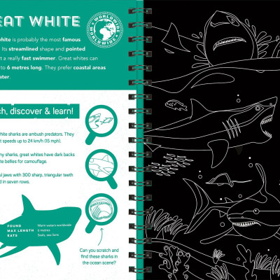 Sharks (Scratch Discover & Learn)