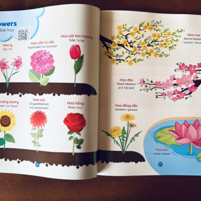 Sách - Combo 4 cuốn Tiếng Anh Đầu Đời Cho Bé (Kèm file nghe) - Giúp bé phát triển ngôn ngữ sớm, học nhanh, nhớ lâu, mở rộng vốn từ, tự tin giao tiếp