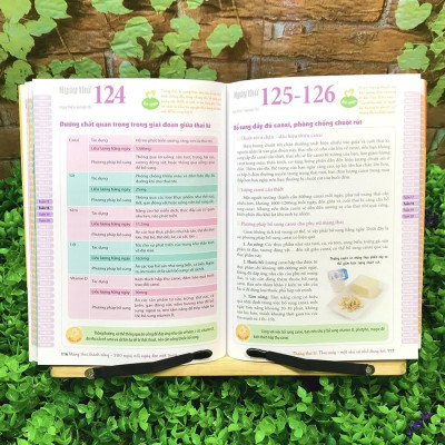 Sách: Mang Thai Thành Công - 280 Ngày, Mỗi Ngày Đọc Một Trang