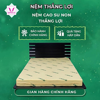 NỆM CAO SU NON THẮNG LỢI SIZE 2M và 2,2M