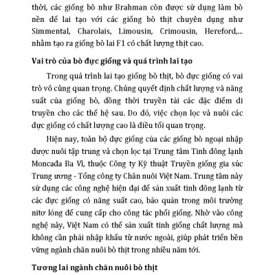 Nông Nghiệp Xanh Và Sạch - Nuôi Bò Thịt Sạch