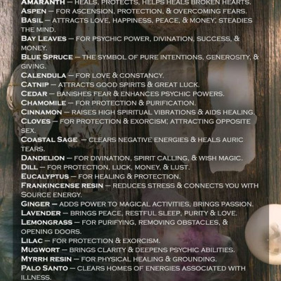 Combo 1 thanh palo santo và 1 bó xô bạch đàn thanh tẩy nhà cửa (Combo số 16)