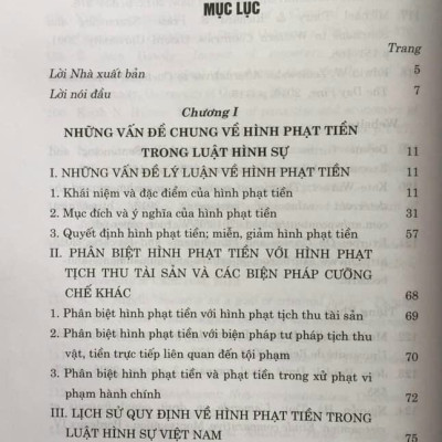 Sách - Hình phạt tiền trong pháp luật hình sự Việt Nam và thực tiễn áp dụng