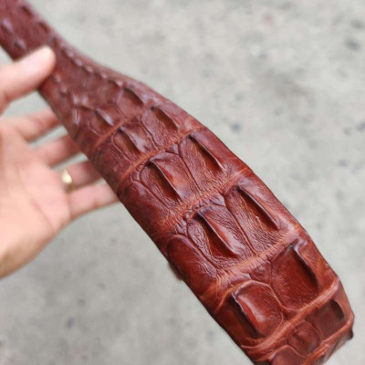 Thắt Lưng Nam Da Cá Sấu Liền Gai Lưng N31ND2 (Mặt vàng)