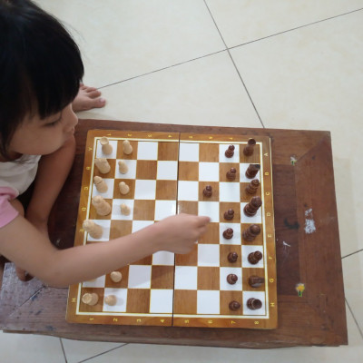 Bộ cờ vua bằng gỗ Cao cấp DAICAT Hàng chính hãng