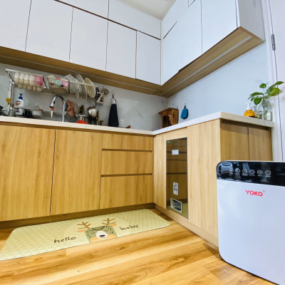 Máy Tạo Khí Ozone Khử Độc Duyệt Khuẩn YoKo  ( Hàng Nhập Khẩu)