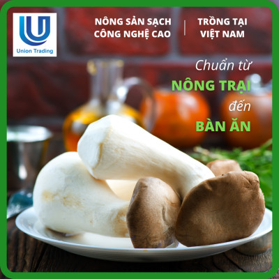 Nấm Đùi Gà Việt Nam 500g - Ngon Ngọt, Giòn Dai - Trồng Tại Nhà Máy Công Nghệ Cao Bắc Âu, Đak Lak