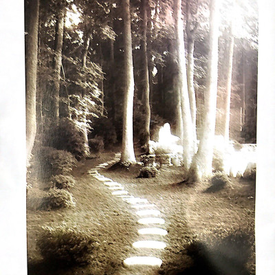 Tư Duy Tích Cực Thay Đổi Cuộc Sống (Tái Bản)