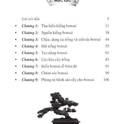 110 Câu Hỏi Đáp Chăm Sóc Và Tạo Dáng Bonsai (Tái Bản 2024)