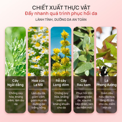 Mặt nạ thạch dừa Biocellulose Mask Babemon dưỡng sáng da, cấp ẩm, phục hồi, làm mờ dấu hiệu lão hóa