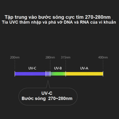 Máy khử mùi, lọc không khí dạng cốc thương hiệu Hà Lan cao cấp Philips S3601 Và S3602 - Hàng Nhập Khẩu