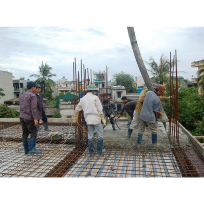 Đầm Dùi Bê Tông ABG ZN-50 Hoa Thị 1.1Kw/220V - Công Suất 1100W, Lõi 100% Bằng Dây Đồng ( Giao Hàng Ngẫu Nhiên )- Hàng Chính Hãng 