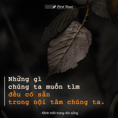 Sách Minh Triết Trong Đời Sống - Nguyên Phong - First News