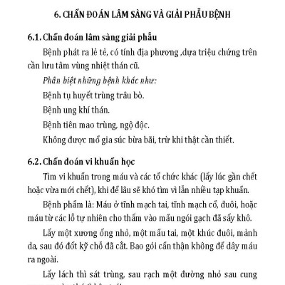 Một Số Bệnh Thường Gặp Ở Trâu Bò Và Biện Pháp Khắc Phục (Tái bản 2025)