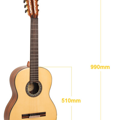 Đàn Guitar Classic Valencia VC564 T