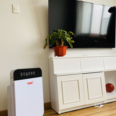 Máy Tạo Khí Ozone Khử Độc Duyệt Khuẩn YoKo  ( Hàng Nhập Khẩu)